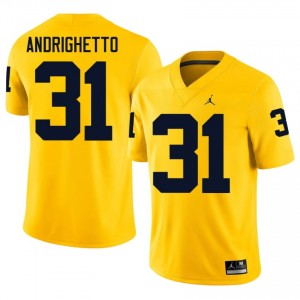 #31 Nico Andrighetto U-M Maize Jersey | Authentic Embroidery Men Player Football Gear 22457027
