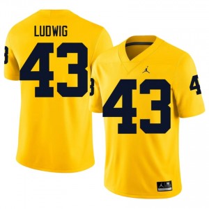 Zach Ludwig #43 UMich Jersey | Iconic Maize College Football Men Embroidery 37417712