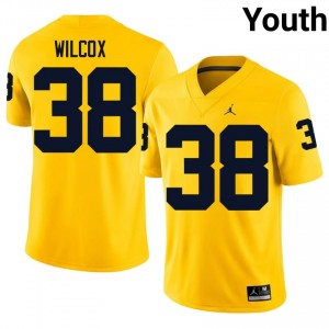 Michigan Wolverines Bryce Wilcox #38 Maize Jersey | Essential Embroidery NCAA Football Youth Apparel 23360078