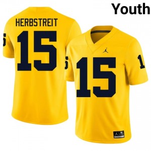 Chase Herbstreit #15 UMich Jersey | Gameday Maize College Football Youth Embroidery 61409241