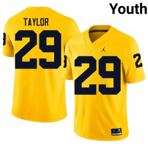 Top-Tier Chase Taylor #29 UM Wolverines Maize Jersey | Youth University Football Embroidery Fan Gear 93595515