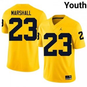 Jordan Marshall #23 Michigan Wolverines Jersey | Exclusive Maize College Football Youth Embroidery 82522881