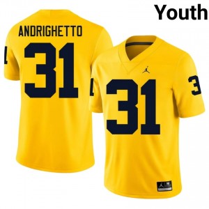 Maize Nico Andrighetto #31 Michigan Wolverines Jersey | Youth High School Football Moisture Wicking Embroidery 34375183