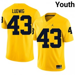Michigan Zach Ludwig #43 Maize Jersey | Genuine Embroidery NCAA Football Youth Apparel 61774832