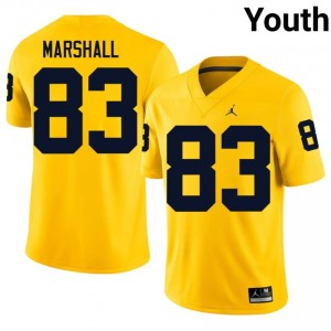 UMich Zack Marshall #83 Maize Jersey | Premium Embroidery NCAA Football Youth Apparel 53913744