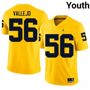 Alister Vallejo #56 Michigan Wolverines Jersey | Iconic Maize College Football Youth Embroidery 58223619