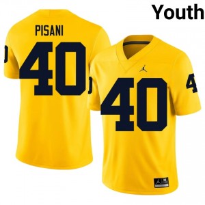 U-M Jimmy Pisani #40 Maize Jersey | Essential Embroidery NCAA Football Youth Apparel 83618370